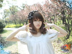  2012跨服pk战队宝贝海选倒计时