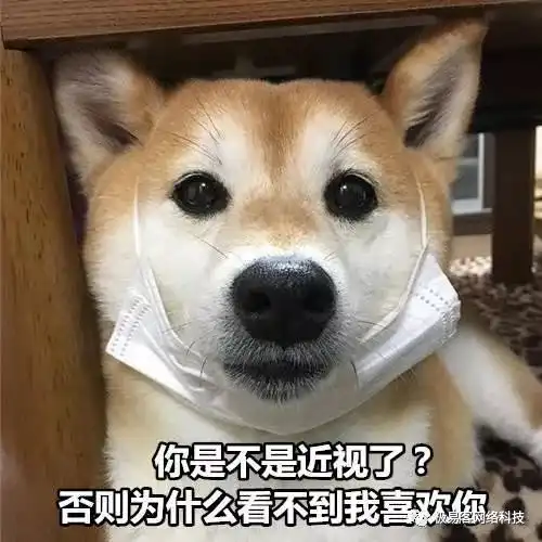 柴犬跳表情包发麻
