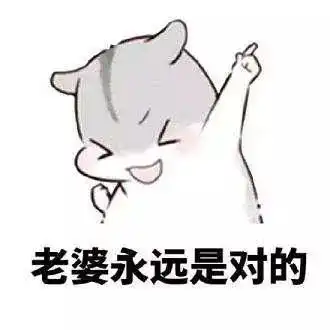  发给老婆的表情包老婆你说什么都是对的
