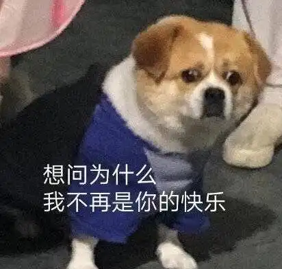  搞笑gif迷美女,进房间就为了这个啊,早说就不用那么麻烦了