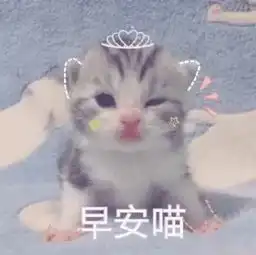  打雷了,下雨了这个周末被雨水包圆儿了
