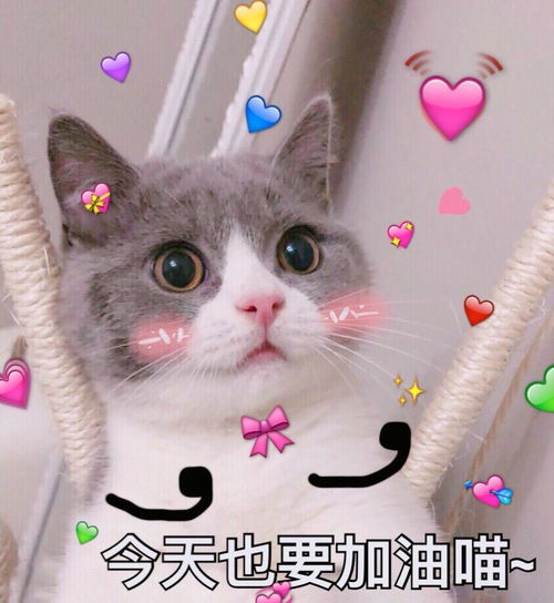  我们都在用真心说着谎话