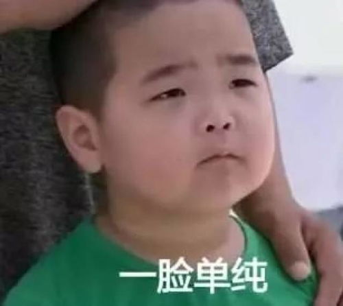  太好了东莞周六也能办理出入境业务,再也不用请假啦...