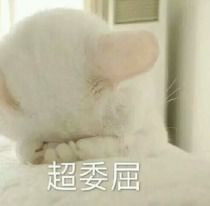  你在超市买的全麦面包,只有1可能是真的