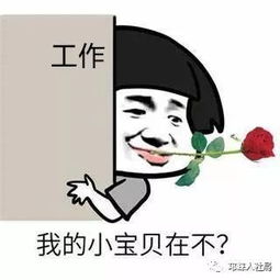  婚恋底气2019年邛崃市春风行动大型招聘会开始啦你值得拥有