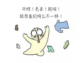  12星座都是怎样过双十一的