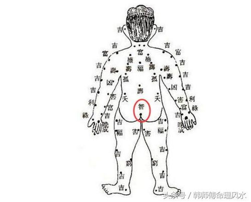  女人有此痣,必定旺夫,婚后财运滚滚,天生的财星搜狐星座搜狐网
