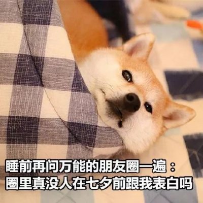  七夕是什么我是单身狗我骄傲了吗