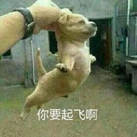  随时准备起飞表情包