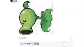  小可爱们2