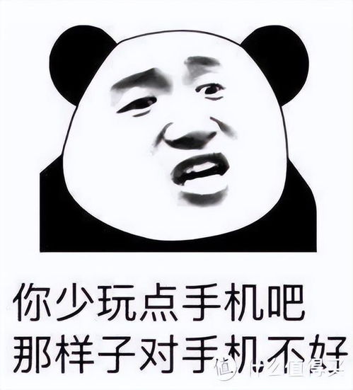  nas从入门到入坟,已退坑