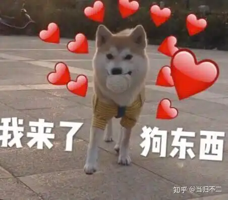  kiss好吗