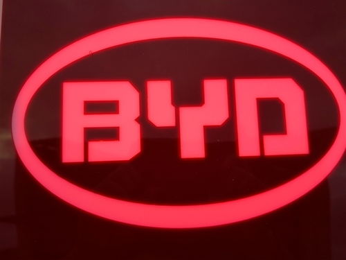  比亚迪建全球最大量产口罩工厂日产500万只