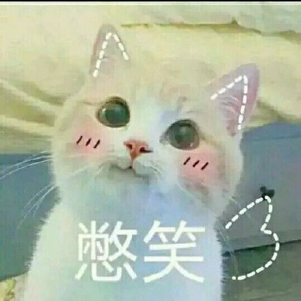  小窝表情包你一点都不understand我