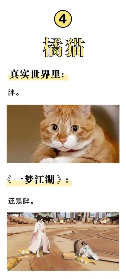  这些游戏中的动物你见过吗