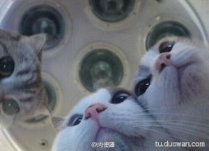  今日搞笑图片