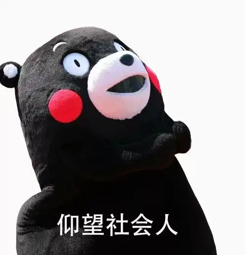  中考查分前必看哪里查分高保线什么时候出录取呢