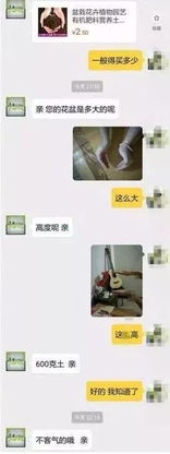  12.12淘宝客服神回复,笑掉了我几个g的表情包