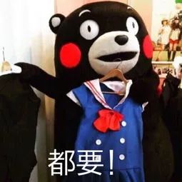  南方人vs北方人过年,也太太太太太有意思了吧