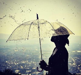  不属于我的雨伞,我宁愿淋雨走路