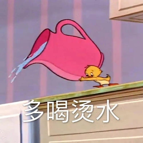  搞笑又有趣的朋友圈文案