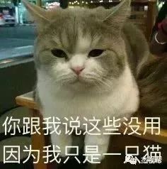  合成到底有什么用,你弄清楚了吗
