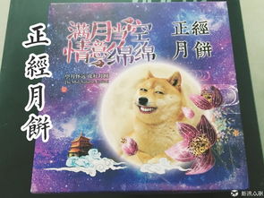  月饼界又搞事情了正经人吃不正经月饼