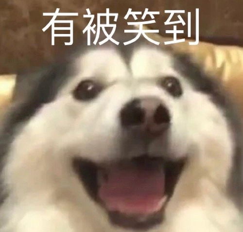  萌宠表情包小哥哥,有对象吗