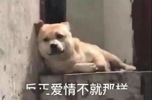  情人节,看到这些礼物要小心