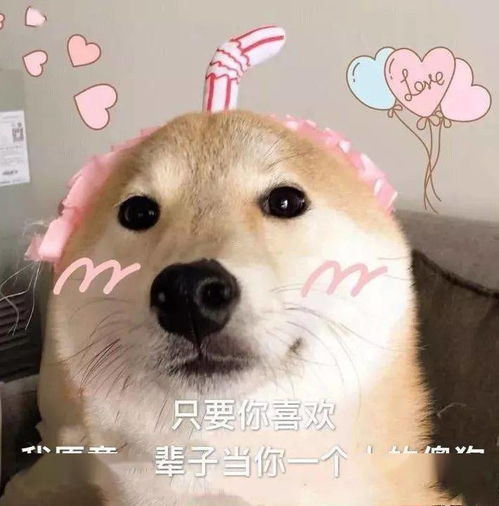 闭嘴的表情包一条狗好小