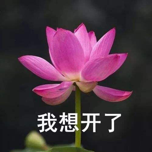  今天不吐槽了,夸一下我老公