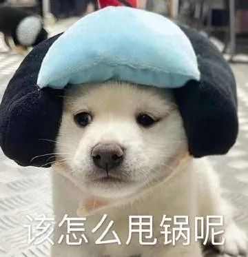 羞涩表情包大全全球最帅