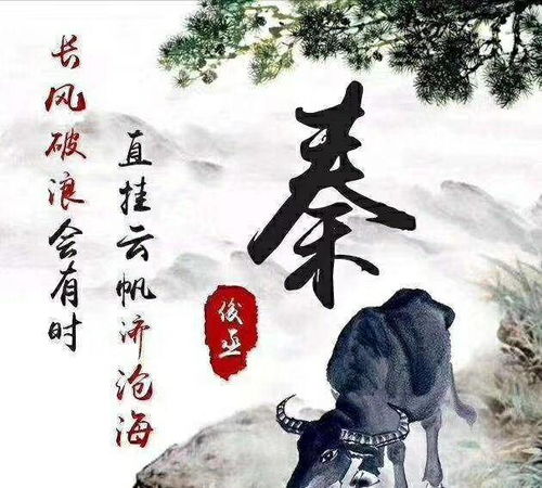  十二生肖主题头像多种风格任你挑选,保证你的头像独一无二