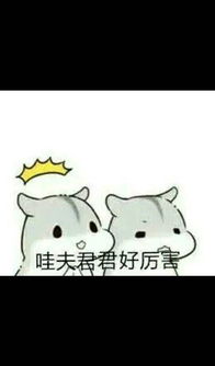  求小仓鼠hamham的表情包老公老婆,小娘子,夫君君系列的
