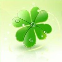  最美的四叶草图片头像微信头像图片大全