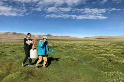  胡歌状态引担忧,接连数天发文耐人寻味,评论区风向转变被疑炒作