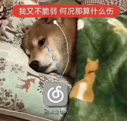  网抑云阴乐被群嘲,但我却笑不出来