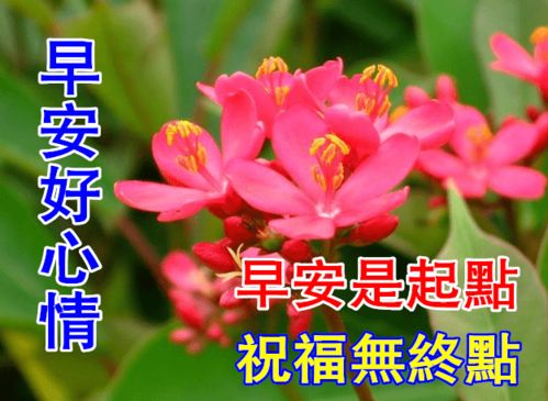  12月26日早上好动态表情图片大全,早上好动图美图大全
