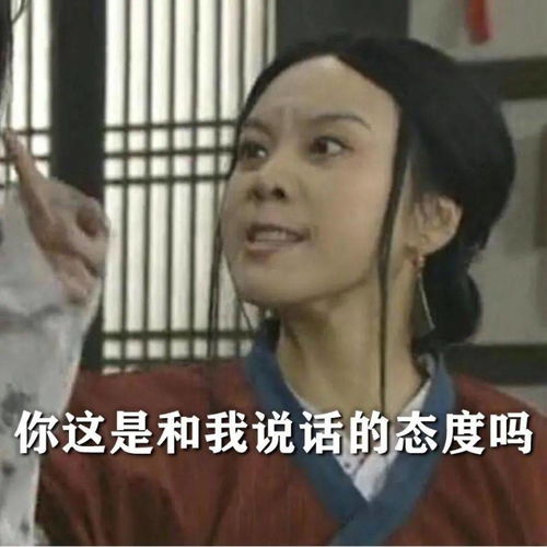  微信沙雕聊天表情包说吧加哪个