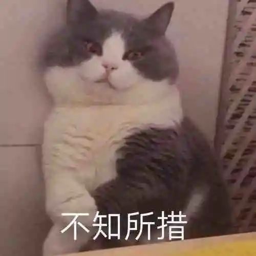  空地有争议不是有真谊