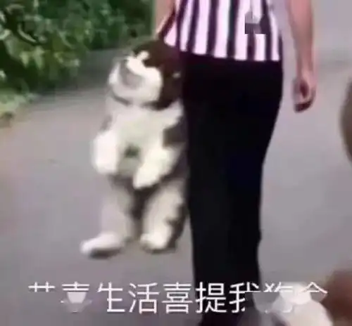  超全emo表情包合集,今天你emo了吗