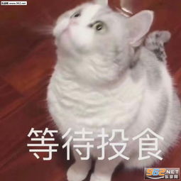  好人卡官方手势标志图片素质要饭头像图片表情包下载乐游网游戏下载