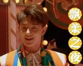 r1se表情包大全夏之光