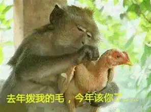 溜达鸡表情包恶心