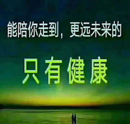  西安市碑林区王家康膏药铺