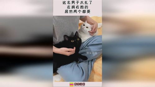  这名男子太扎了,左拥右抱的,居然两个都要