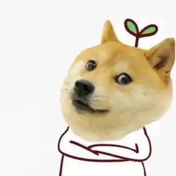  什么松江这个地方竟然暗藏萌货