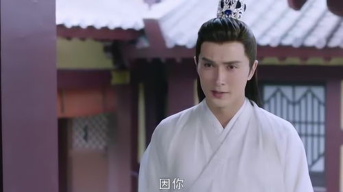  三生三世枕上书小九换回女装,请注意帝君的表情,太花痴了