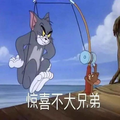  今日表情推荐,72