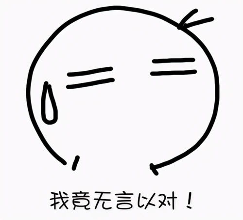  打工是不可能打工的钱够花就停....这俩小偷令人哭笑不得